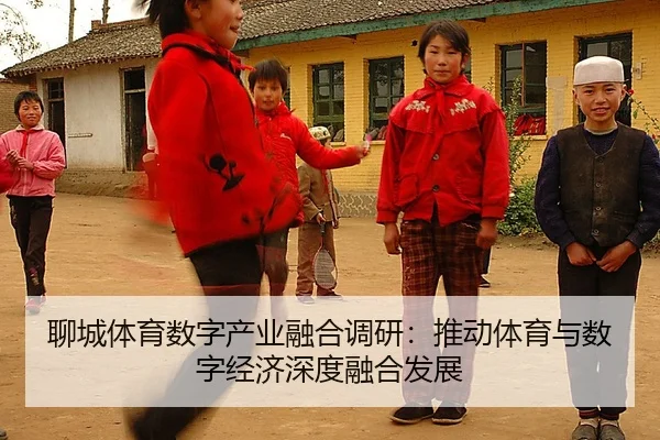 聊城体育数字产业融合调研：推动体育与数字经济深度融合发展
